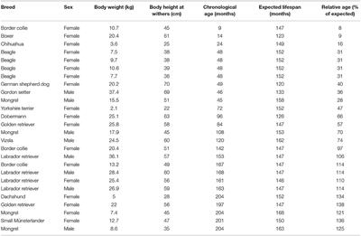 CDKN2A Gene Expression as a Potential Aging Biomarker in Dogs